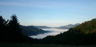 Pregrešne skušnjave, neverjetni izzivi in močna spoznanja … vse to je bilo zame leto 2015